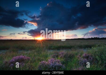 Dramatischer Sturm und Sonnenuntergang über Sumpf Stockfoto