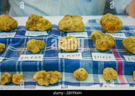 Weiße Trüffel (tuber magnatum) zu verkaufen in Alba, Italien Stockfoto