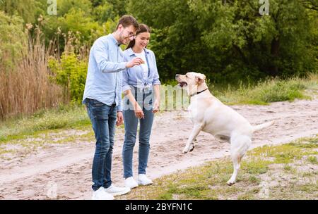 Junges Paar, das ihren gehorsamen Hund verwöhnt Stockfoto