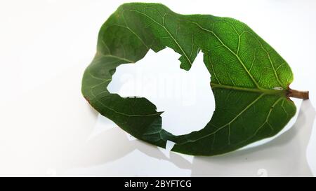 Einzigartige Karte Schablone Form von Australien geschnitten aus einem hellen lebendigen Blatt weißen Hintergrund und Silhouette von australischen Umriss. Umweltfreundlicher Fokus Stockfoto