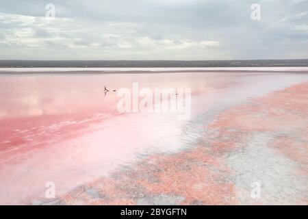 Die erstaunliche und magische rosa Farbe in Hutt Lagoon, in der Nähe von Port Gregoru und Kalbarri, in einer Reise in westaustralien Stockfoto