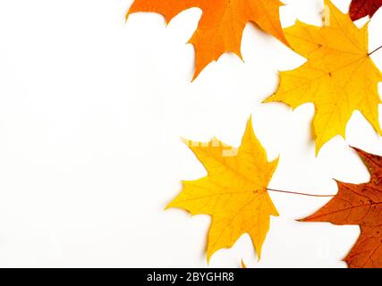 Herbstkomposition. Muster aus Herbstblättern. Flach liegend, Draufsicht Stockfoto