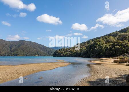 Umungata Bay, Queen Charlotte Track, South Island, Neuseeland Stockfoto