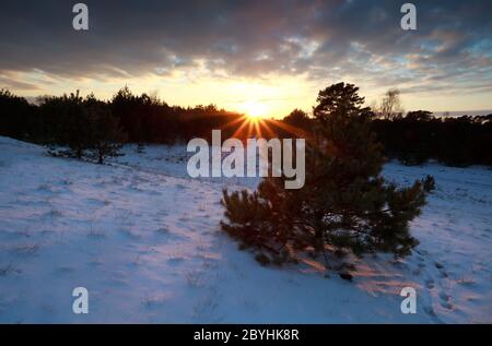 Wunderschöner Sonnenuntergang über verschneiten Winterwäldern Stockfoto