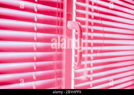 Hintergrund süß rosa geschlossen horizontale Fensterläden Nahaufnahme. Stockfoto
