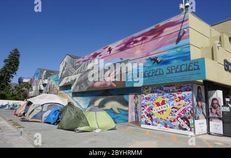 Venedig, Kalifornien, USA 9. Juni 2020 EIN allgemeiner Blick auf die Atmosphäre obdachloser Zelte am Venice Beach am 9. Juni 2020 in Venedig, Kalifornien, USA. Foto von Barry King/Alamy Stock Photo Stockfoto