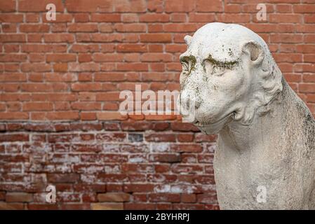 Antikes venezianisches Piräus Löwenkopf bei Arsenal in Venedig mit Kopieraum für Text, Italien Stockfoto