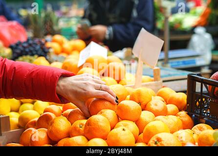 Verkauf von frischem und biologischem Obst und Gemüse auf dem grünen Markt oder auf dem Bauernmarkt. Käufer von Bürgern wählen und kaufen Produkte für gesunde Lebensmittel. Frau, die die beste Orange wählt. Lifestyle, Nahaufnahme. Stockfoto