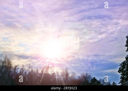 Ungewöhnlich beleuchtete Zirruswolken über einem Winterwald. Sonnenuntergang über dem Wald Stockfoto