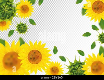 3D realistische Sonnenblume mit grünen Blatt. Gelbe Sonnenblume in Bewegung. Schöne Sonnenblume Hintergrund. Fallende Sonnenblume. Vektorgrafik Stock Vektor