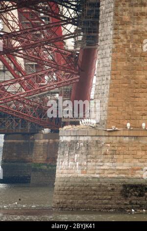 Edinburgh, Schottland. Lackier-, Wartungs- und Reparaturarbeiten an der Forth Rail Bridge, von South Queensferry aus gesehen Stockfoto