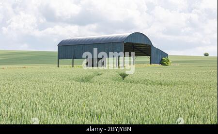 Holländische Scheune Sixpenny Handley Dorset Stockfoto