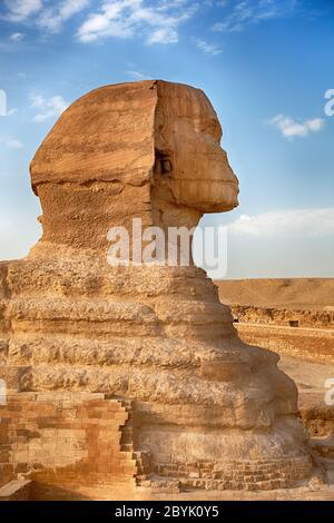 Ein Profilbild der Sphinx, Gizeh, Ägypten Stockfoto