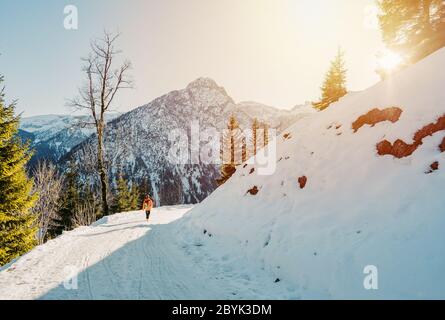 Erfahrener Mann Wanderer Wanderlust während Sonnenuntergang. Stehen gegen erstaunliche hohe Winterberge. Rückansicht von touristischen Reisen in den schönen Alpen Stockfoto