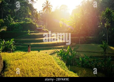 Junger Mann, der während des Sonnenaufgangs auf die wunderschöne Tegallalang Reisterrasse blickt. Sonnenlicht auf Terrassen Reisfelder Tegalalang Ubud, Bali, Indonesien Stockfoto