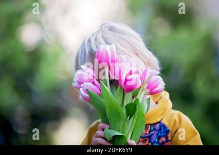 Kind, Junge mit rosa Tulpen , versteckt sich hinter ihnen, Muttertag Geschenk Konzept Stockfoto