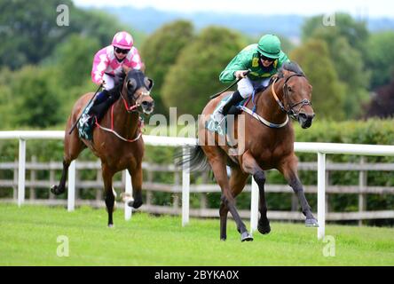 Boughtinthebark und Jockey James Doyle gewinnen das Navan Handicap (45-65) (Div 1) auf der Navan Racecourse, County Meath, Irland. Stockfoto