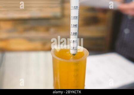 Messung des Alkoholgehalts in Bier. Hydrometer in einem Glas Bier. Stockfoto