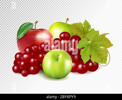 Rote Trauben, grüne Äpfel, roter Apfel isoliert auf transparentem Hintergrund. Qualität realistische Vektor, 3d-Illustration Stock Vektor