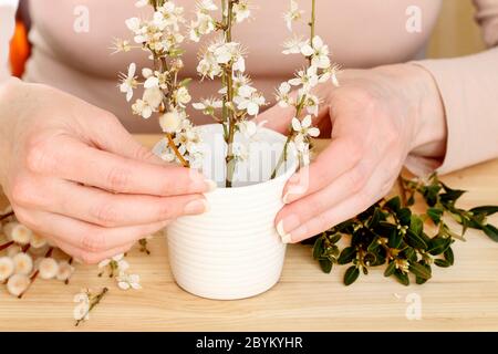 Floristin bei der Arbeit: Frau zeigt, wie man einfache Dekoration für Ostern Tisch mit chery Blütenzweige, Buxus und Kätzchen zu machen. Schritt für Schritt, Tutorial. Stockfoto