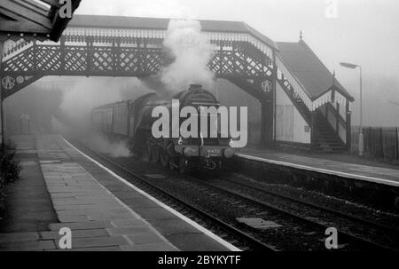 DIE DAMPFLOKOMOTIVE DER LNER A3 Klasse "Flying Scotsman" fährt bei nebliger Witterung mit dem Swan Express Theaterexkursionszug durch den Bahnhof Wilmcote, Warwickshire, England, Großbritannien. November 1986. Stockfoto