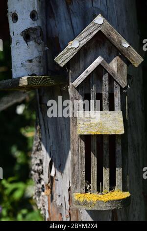 Ein verwittertes Häuschen für Insekten hängt in der Natur an einem Baumstamm Stockfoto