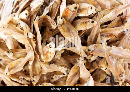 Getrockneter kleiner Fisch auf dem thai-Markt Stockfoto