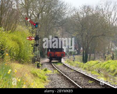 Dampfzug auf der Kent und East Sussex Railway Stockfoto