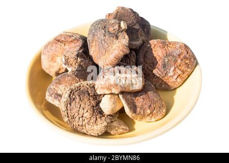 Getrockneter Shiitake-Pilz, 香菇, xiānggū, 椎茸 isoliert auf weißem Hintergrund Stockfoto