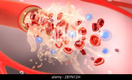 3D-Darstellung von Blutplasma und die Bestandteile des Blutes, die aus einer Arterie Stockfoto
