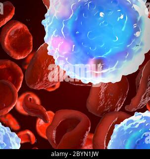 3D-Darstellung sehr genau beobachtet weiße Blutzellen, Leukozyten im menschlichen Körper Stockfoto