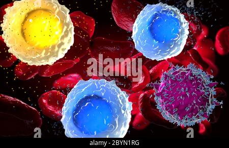 3D-Darstellung sehr genau beobachtet weiße Blutzellen, Leukozyten im menschlichen Körper Stockfoto