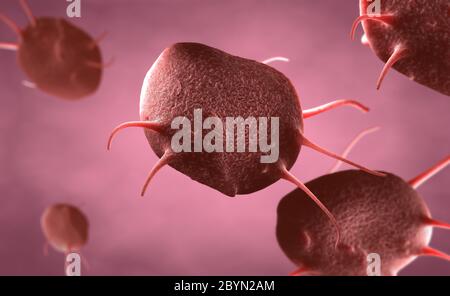 3D-Darstellung eines aktivierten Thrombozyten, auch Blutplättchen genannt, die für die Heilung und die Schließung von Wunden Stockfoto