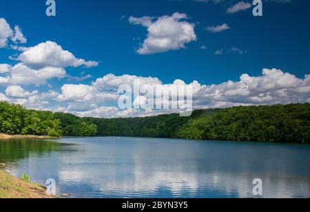 Muddy Run Lake im Süden von Lancaster County, Pennsylvania, im Sommer umgeben von Wald und blauem Himmel mit Cumulus-Wolken Stockfoto