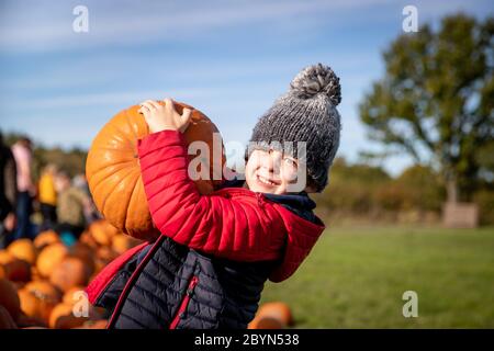 Kleiner Junge, der den perfekten Kürbis von einem Bauernmarkt auswählt. Herbstmotivbild für Halloween, Thanksgiving oder Erntefest. Stockfoto