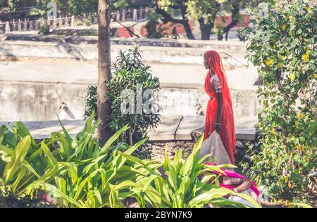 UDAIPUR, INDIEN - 10 FEB, 2014 - zwei indische Frauen, die im Garten arbeiten, tragen bunte Sarees Stockfoto