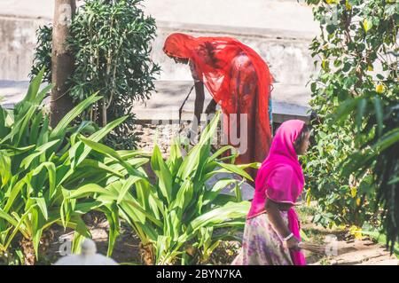 UDAIPUR, INDIEN - 10 FEB, 2014 - zwei indische Frauen, die im Garten arbeiten, tragen bunte Sarees. Stockfoto