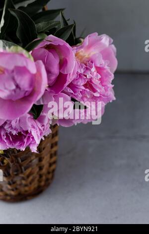 Bouquet von rosa Pfingstrosen. Schöne Sommerblumen. Stillleben mit Platz für Text. Stockfoto