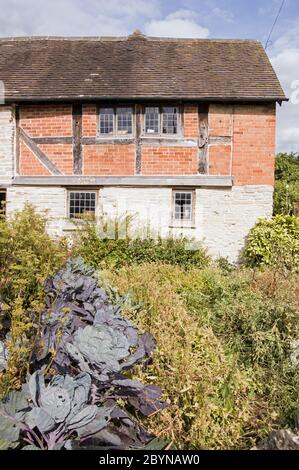 Gemüse im Küchengarten von Mary Arden's Farmhouse, Wilmcote in der Nähe von Stratford upon Avon, Warwickshire. William Shakespeare besuchte dieses mittelalterliche Stockfoto