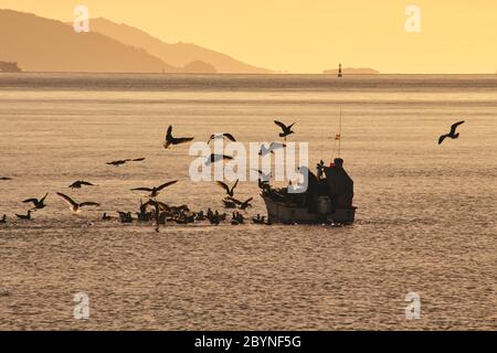 Möwen umgeben ein kleines Fischerboot während des Sonnenuntergangs mit Bergen im Hintergrund. Galicien, Spanien, Stockfoto