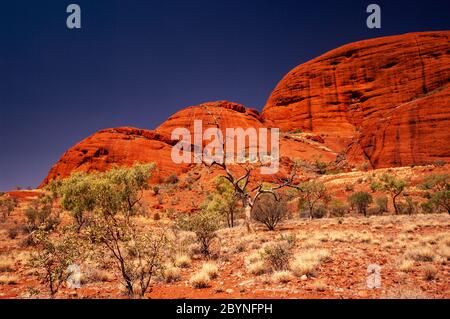 KATA TJUTA / DIE OLGAS, NORTHERN TERRITORIES, AUSTRALIEN Stockfoto