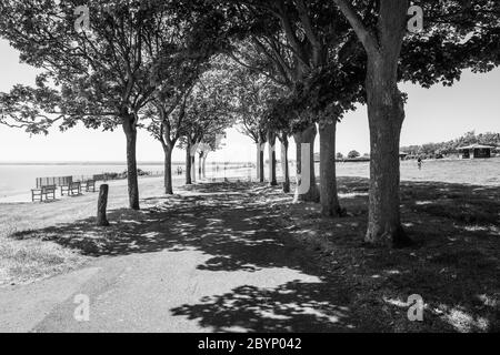 Baumgesäumt Promenade wirft Schatten entlang der Küste in Ramsgate, Kent, Großbritannien an einem hellen Sommertag in monochromen Stockfoto