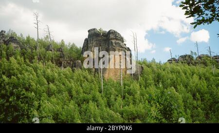 Unglaubliche Sandsteinfelsen. Blick auf den Nationalpark Böhmische Schweiz vom Felshügel in der Tschechischen Republik. Stockfoto