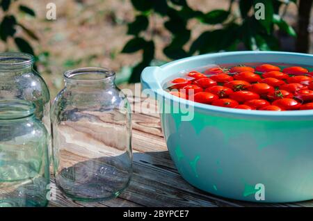 Ernte von roten reifen Tomaten vor der Winterkonservierung in Gläsern Stockfoto