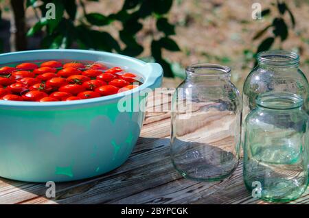 Ernte von roten reifen Tomaten vor der Winterkonservierung in Gläsern Stockfoto