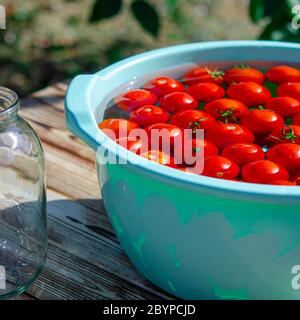Ernte von roten reifen Tomaten vor der Winterkonservierung in Gläsern Stockfoto