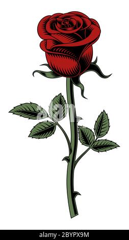 Rote Rose auf weißem Hintergrund. Vektorgrafik. Stock Vektor