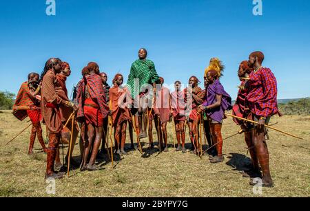 Gruppe junger Masai-Krieger in traditioneller Kleidung und Waffen tanzen ihren rituellen Tanz in der Savanne. Tansania, Ostafrika. Stockfoto