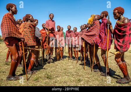 Gruppe junger Masai-Krieger in traditioneller Kleidung und Waffen tanzen ihren rituellen Tanz in der Savanne. Tansania, Ostafrika. Stockfoto