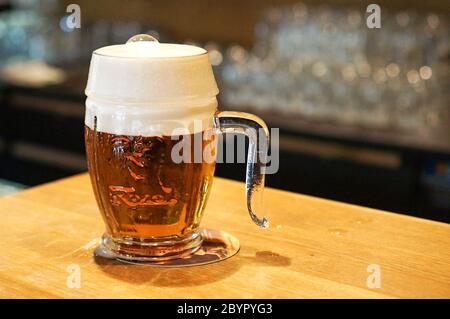 Bier - velkopopovický kozel Stockfoto